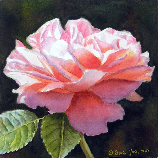 Rosafarbene Rose in kleinem Format - Rosenbild- Rosengemlde-Aquarellbild - gemalt von Doris Joa